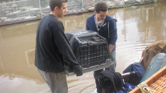 Мормонські місіонери допомагають людям вивозити речі після урагану Сенді, 2012